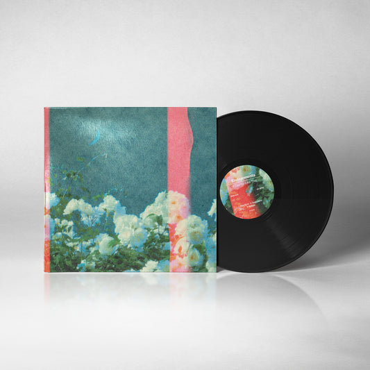 It Can Be Like This 12" Vinyl