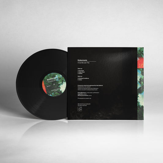 It Can Be Like This 12" Vinyl